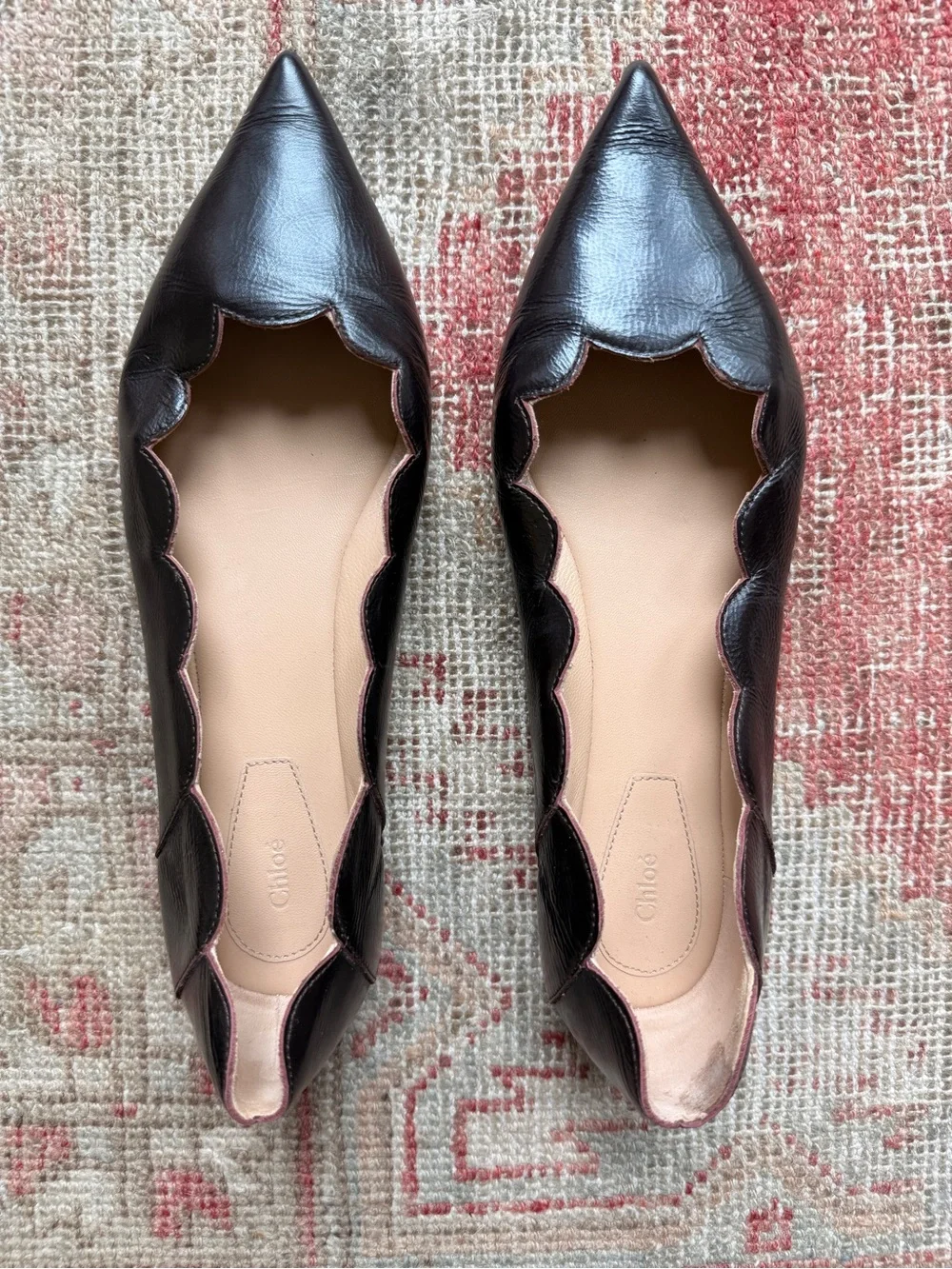 Chloe Scalloped Pointed-Toe Flats in Dark Brown with Nude Insole